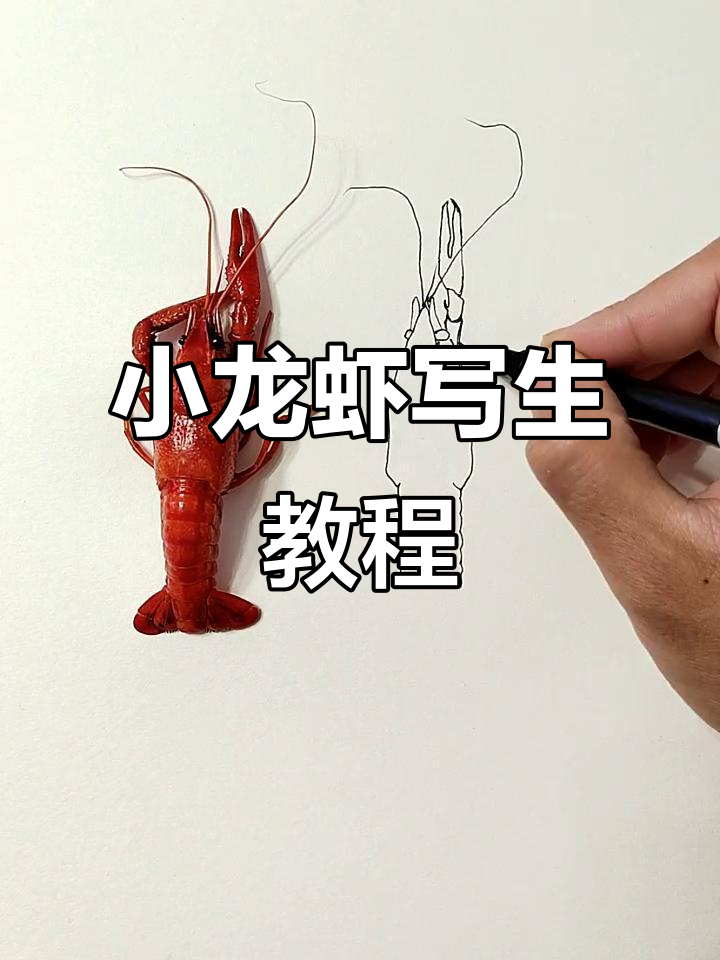 小龙虾马克笔手绘技巧,轻松画出可爱形象