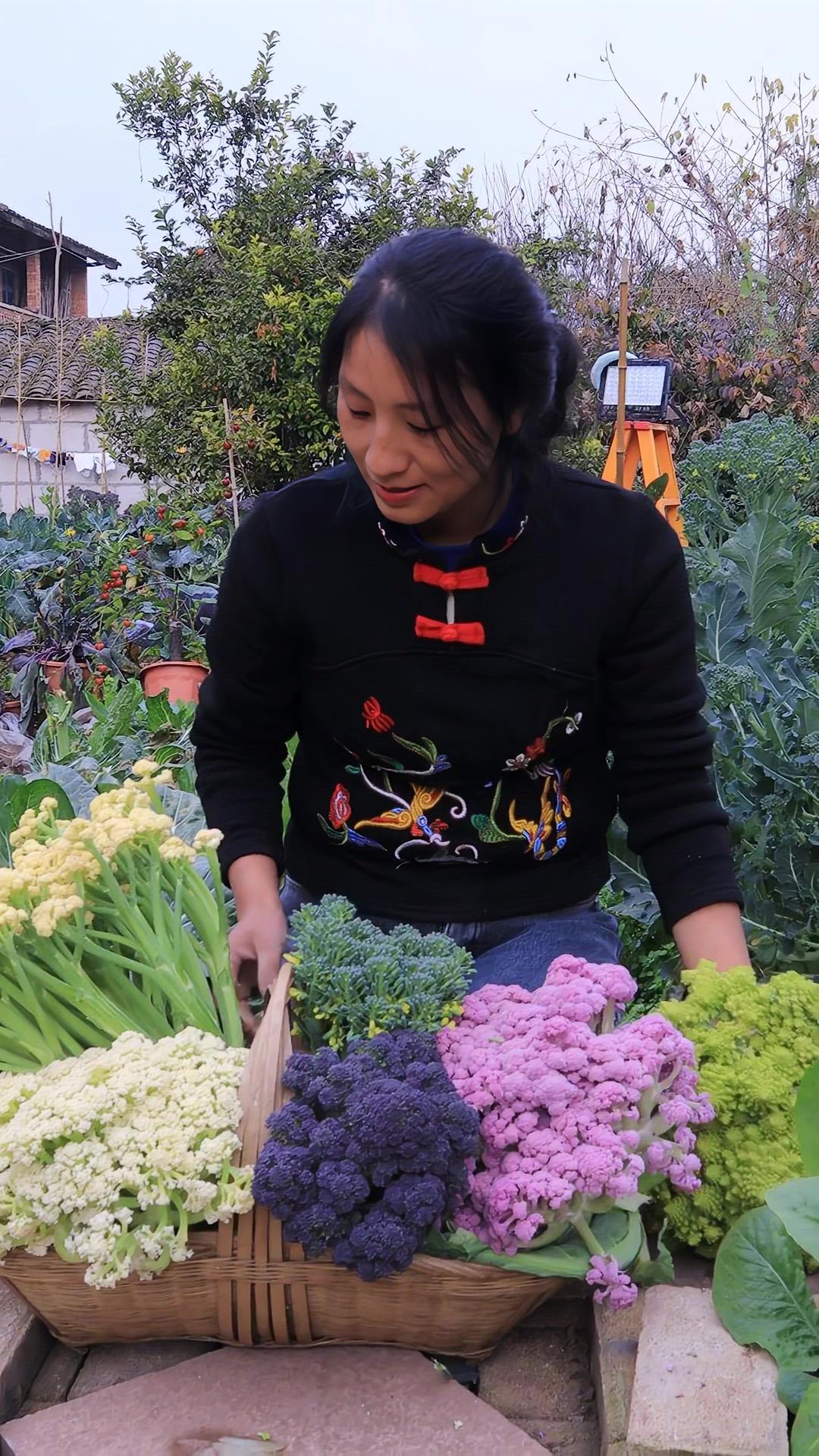 花菜有这么多花色品种，朋友们都吃过吗？