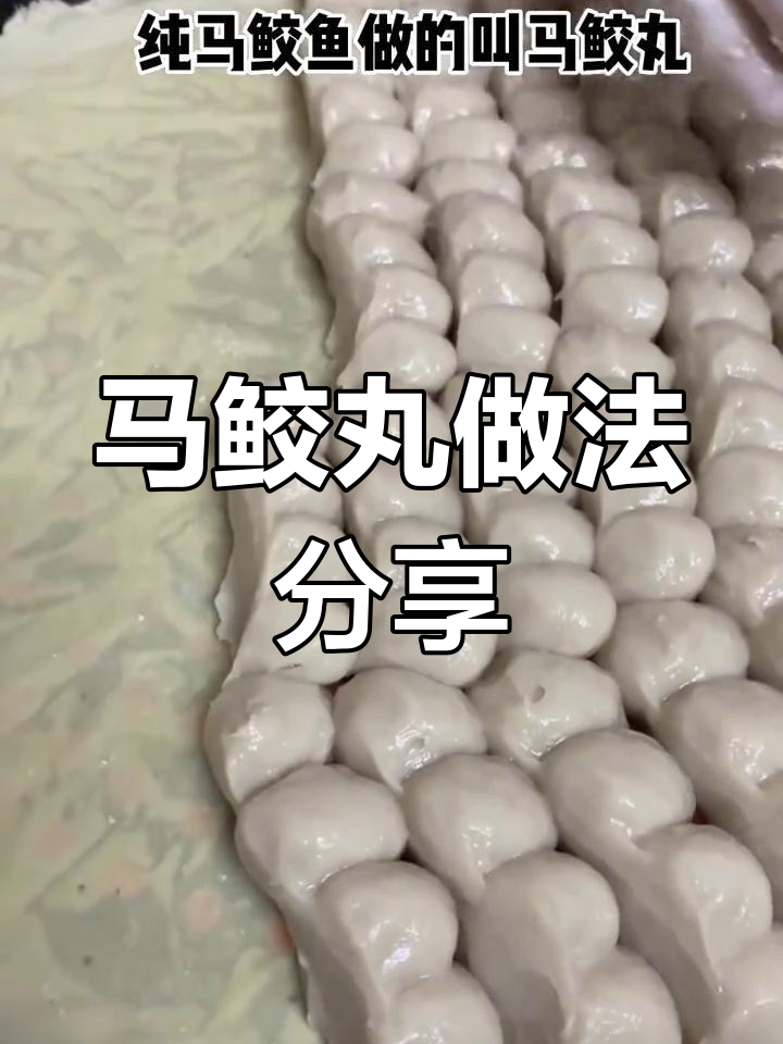 汕尾马鲛丸的独特制作技巧