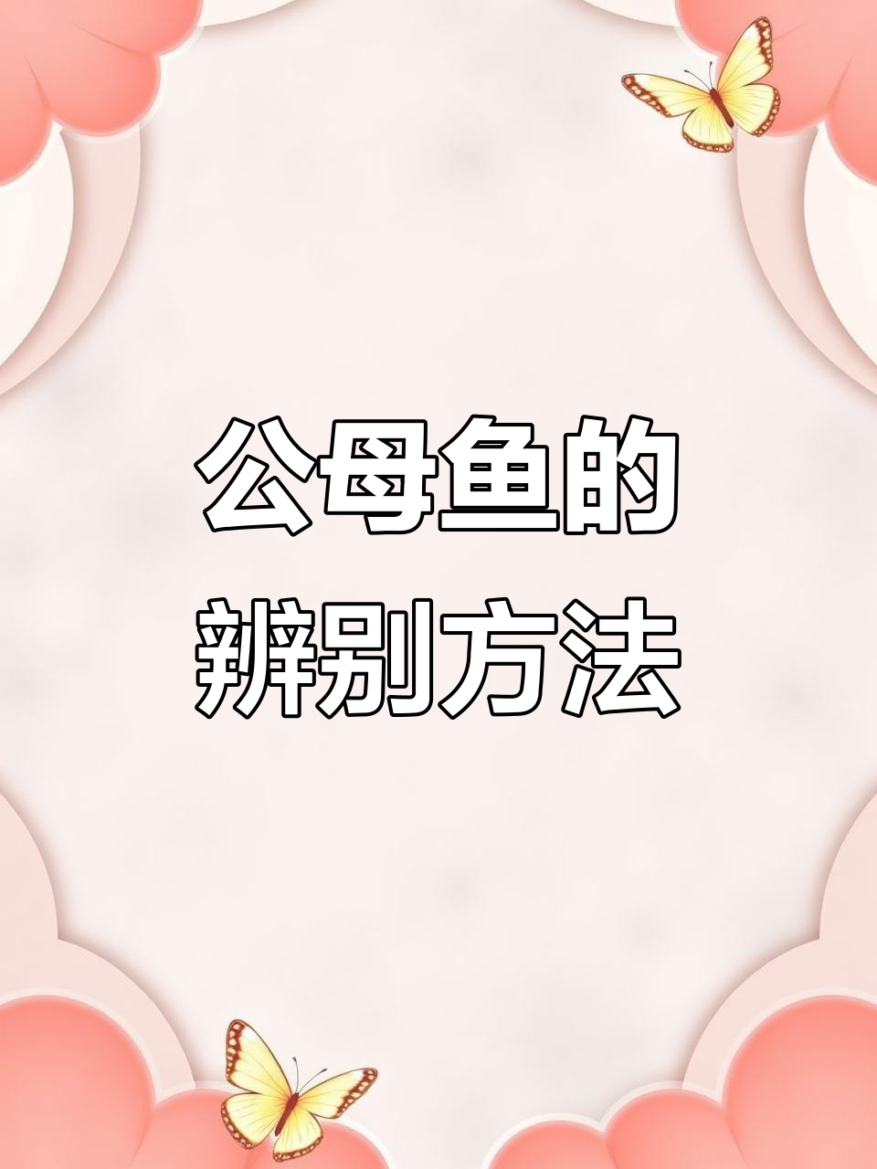 繁殖季节如何分辨公母鱼?避免误伤技巧揭秘