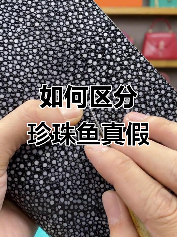 珍珠鱼真假辨别技巧，轻松分辨真伪