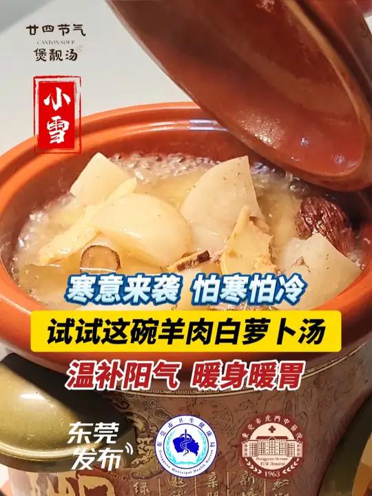 寒意来袭,怕寒怕冷!试试这碗羊肉白萝卜汤,温补阳气!暖身暖胃!二十四节气 煲汤 广东 中医