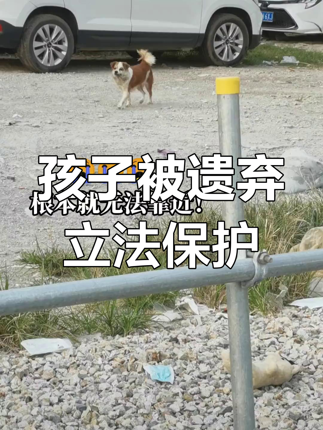 新型鲤鱼钳设计,拆装更方便