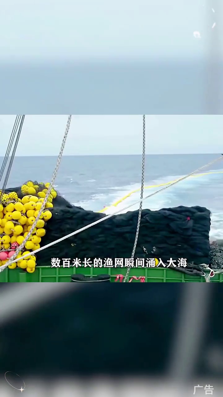 带鱼罐头 带鱼罐头开罐即食