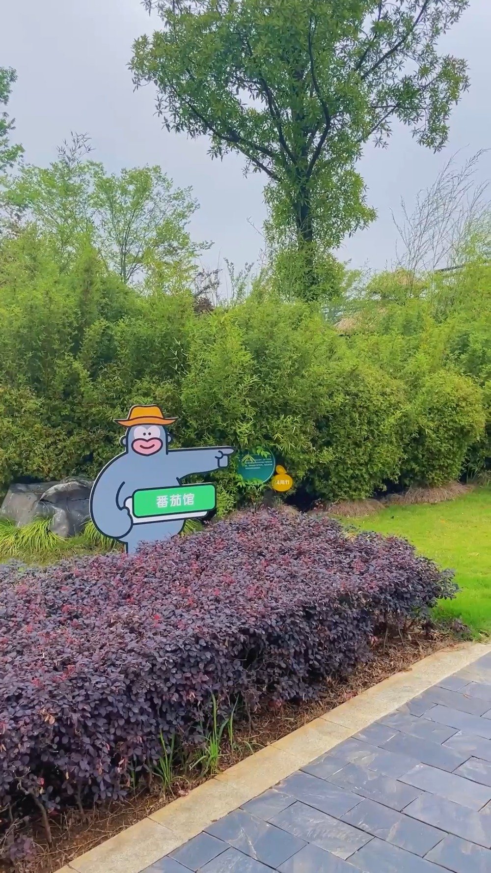 咸宁黄石文旅cp「畅游新嘉鱼 ·打卡心体验」嘉鱼官宣旅游打卡地,邀请了近40各级家网络媒体