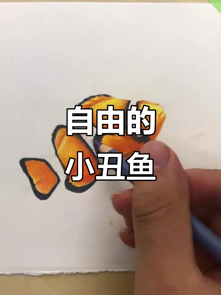 小丑鱼游动，自由自在，可爱又灵动