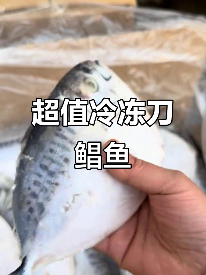 冻品刀鲳鱼,烧烤必备!单条三四两,价格超实惠