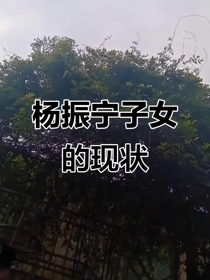 杨振宁的三个子女,现状如何?