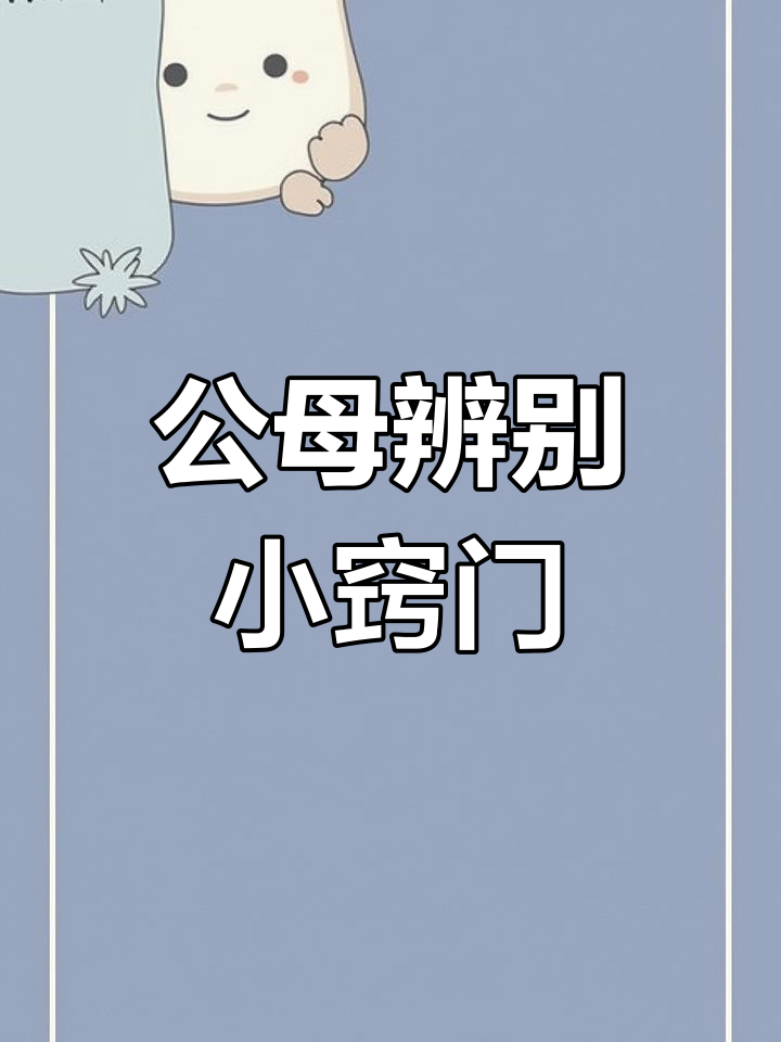 芦丁鸡公母区分技巧大揭秘