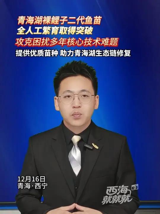 青海湖裸鲤子二代鱼苗 全人工繁育取得突破 攻克困扰多年核心技术难题 提供优质苗种 助力青海