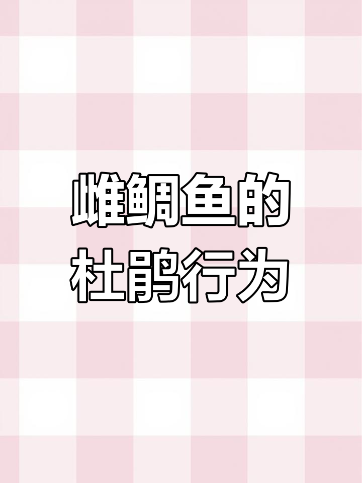 鲷鱼妈妈带娃躲藏,竟被鲶鱼借腹生卵!