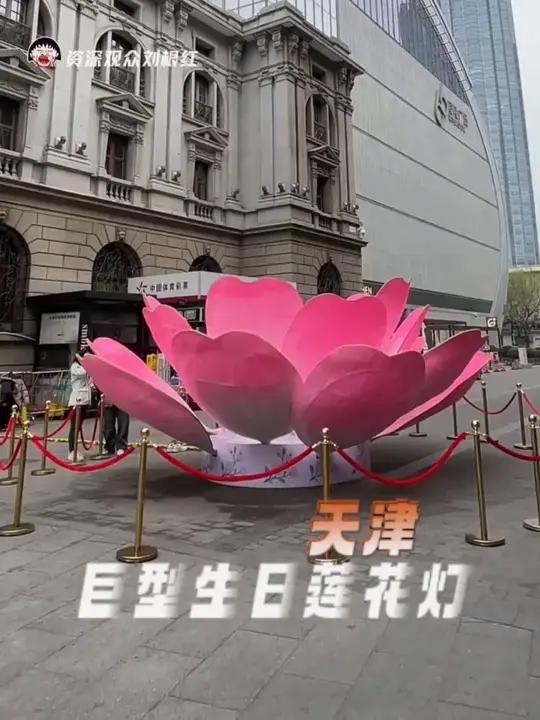 谁家广场会放生日莲花灯,谁家单车会唱快板啊#天津 #万万没想到 #搞笑 #海棠花