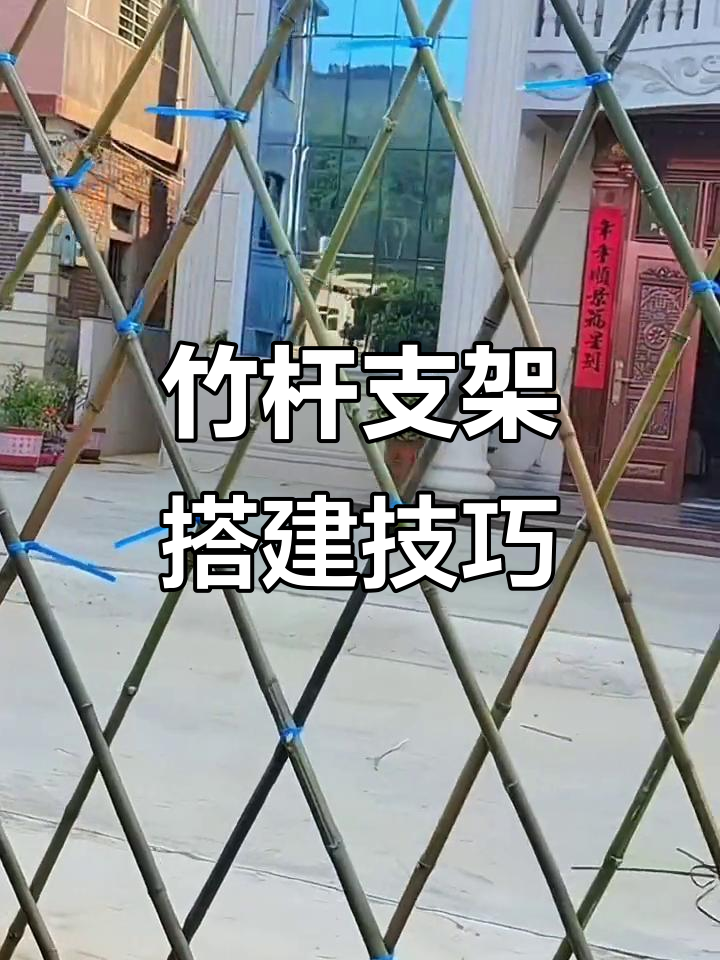 竹竿搭架助力蔬菜种植,黄瓜豆角轻松攀爬
