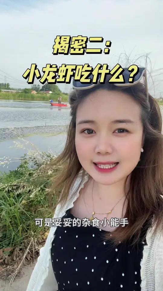 揭密小龙虾是吃什么长大的?潜江龙虾小龙虾龙虾季小龙虾吃什么长大龙虾