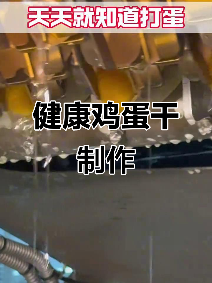 沈师傅鸡蛋干制作揭秘,健康美味全流程