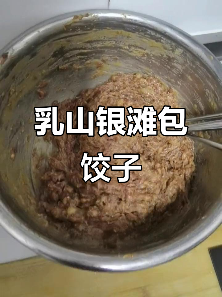 乳山银滩包饺子,虾仁韭菜猪肉三鲜馅冻成冰柜里的美味