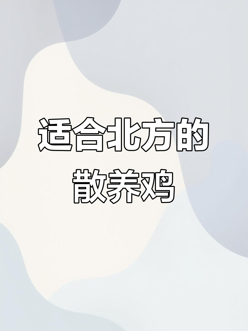 北方散养鸡品种推荐,耐寒又适合粗放管理