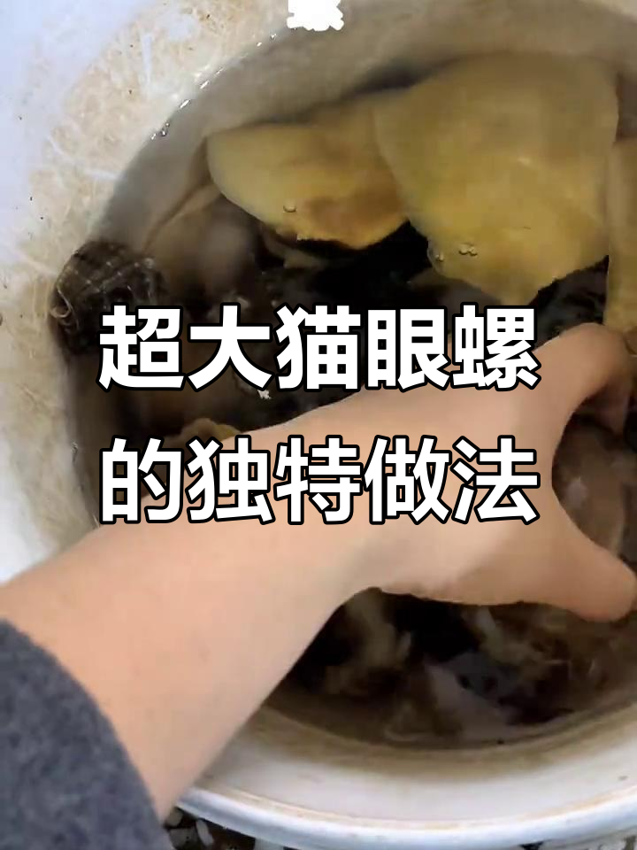 超大猫眼螺怎么吃?口感超赞,教你如何挑选和烹饪