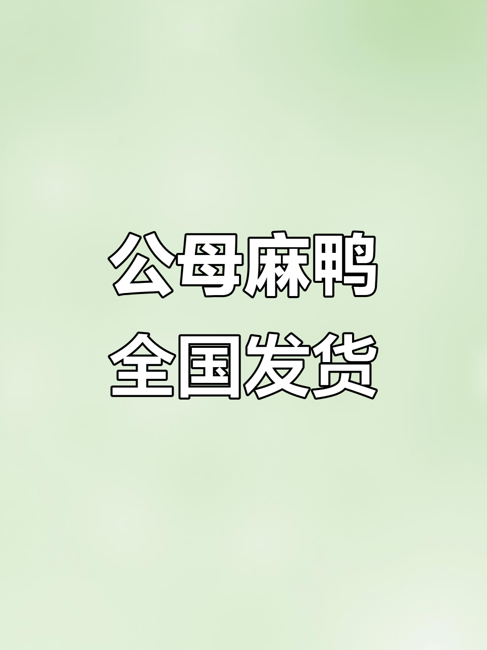 疫苗齐全的麻鸭,公母都有,南北皆宜养殖