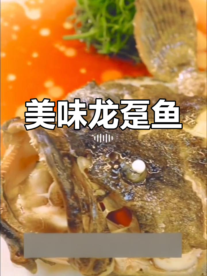 龙趸鱼的美味之旅