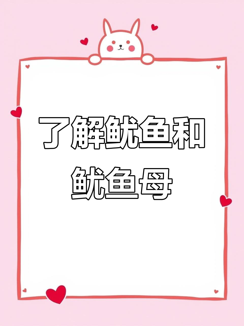 鱿鱼与鱿鱼母的区别,如何挑选最适合的品种