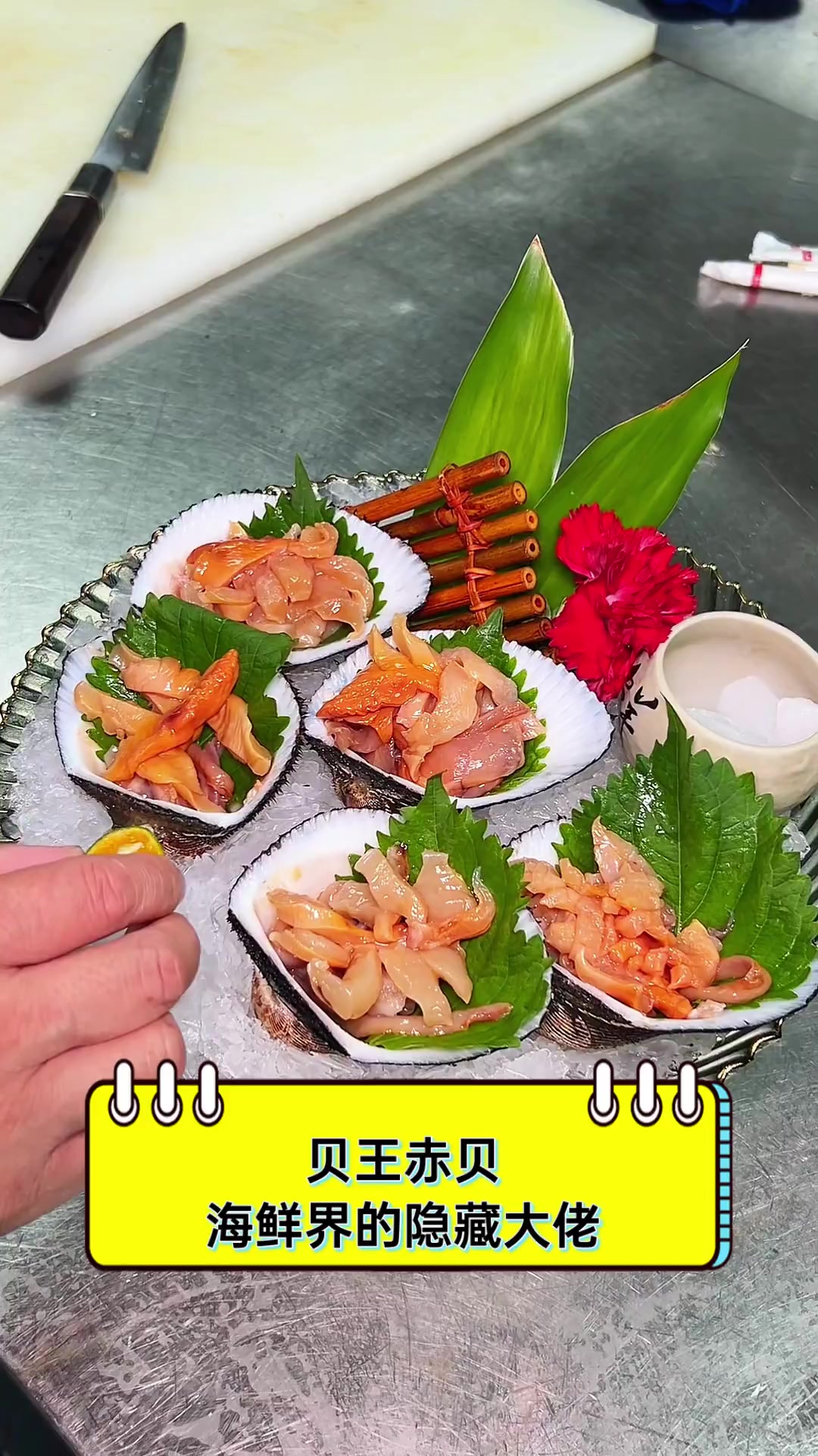 贝王赤贝,海鲜界的隐藏大佬