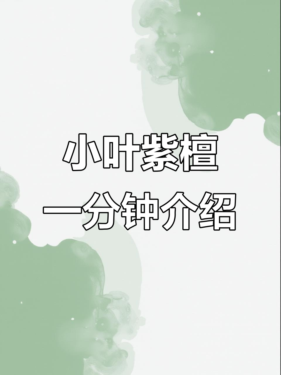 一分钟了解小叶紫檀的魅力与价值