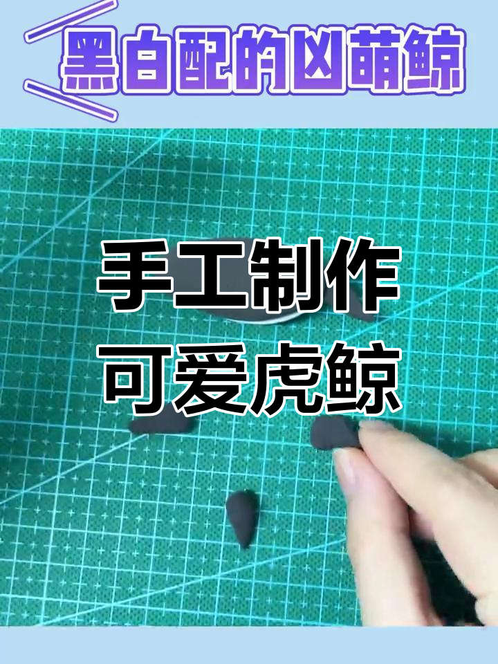 用粘土做虎鲸,黑白搭配萌态十足