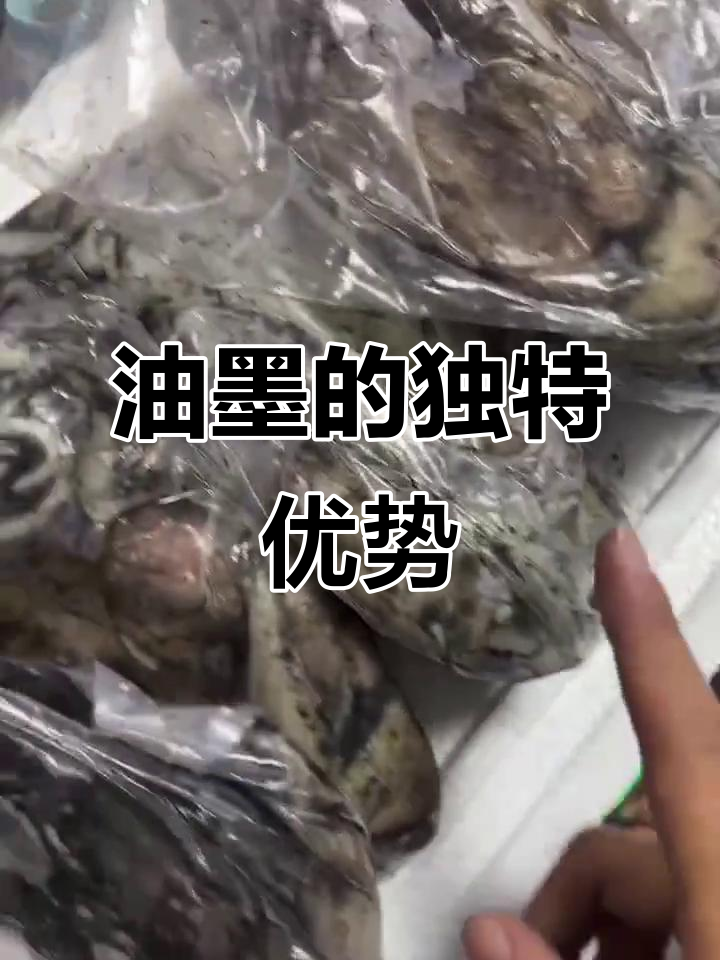油墨：鱿鱼和墨鱼的完美结合，嫩滑又高肉率