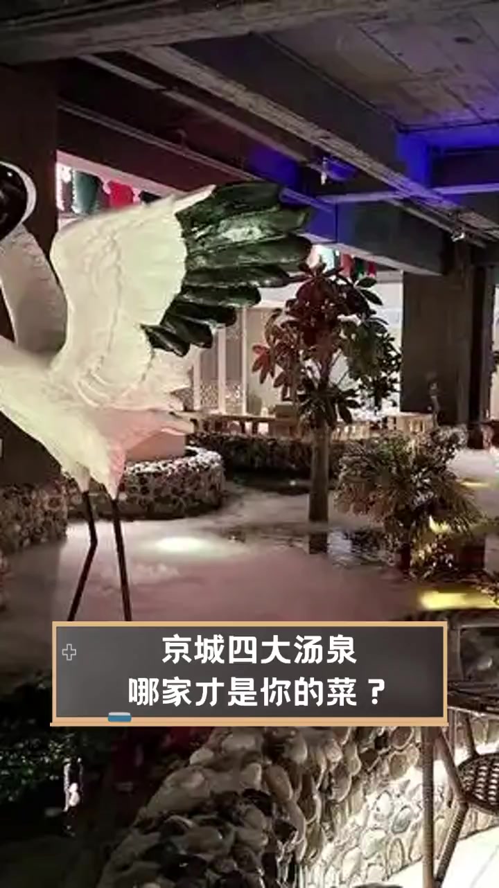京城四大汤泉,哪家才是你的菜?