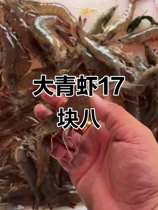 大青虾特价17.8元一斤,超值海鲜来袭!