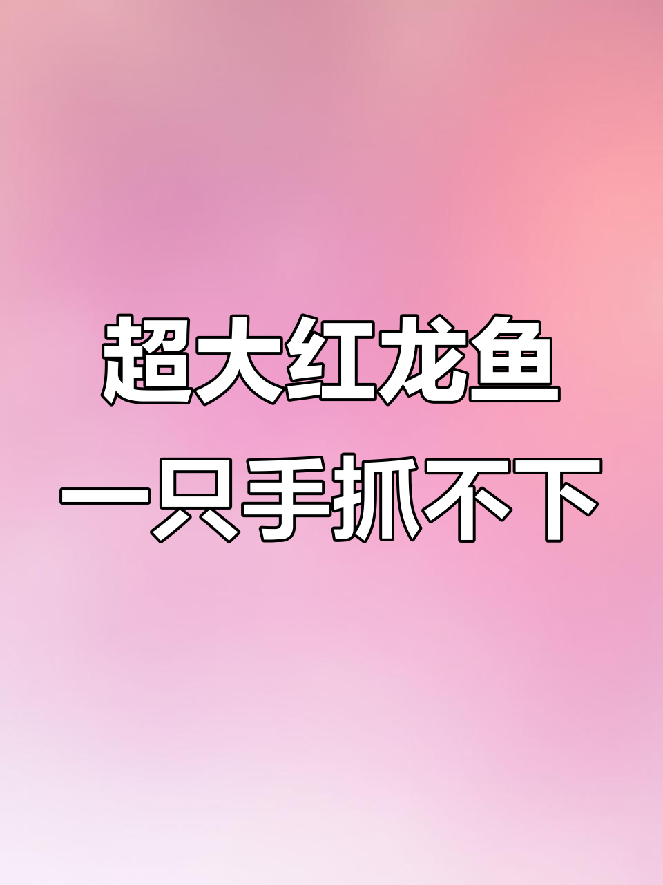 一只手抓不住60公分超血红龙，挑战极限！