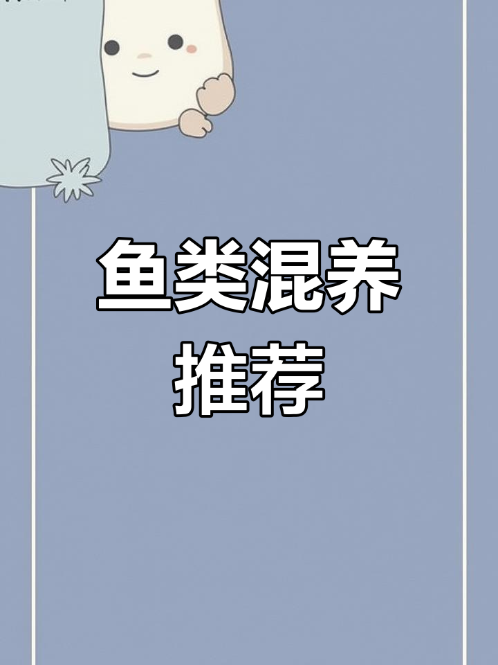 新手必看!六种鱼混养搭配,轻松开启完美水族箱