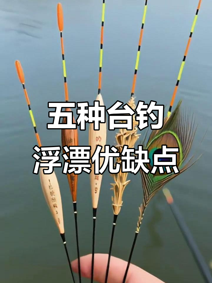 台钓浮漂五种材质大比拼，哪种最适合你？