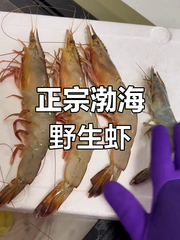 渤海野生大对虾,天然美味与营养之选