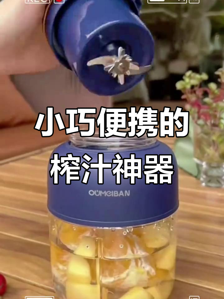 便携式榨汁机,轻松搞定蔬果汁与辅食
