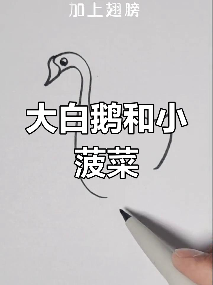 水中的大白鹅与小菠菜,亲子简笔画乐趣多