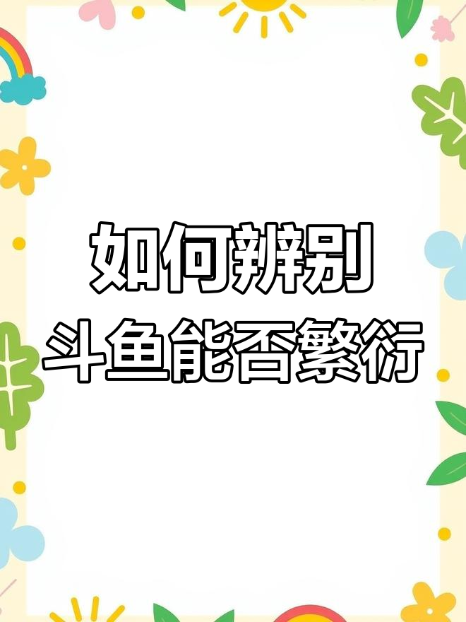泰国斗鱼公母分辨技巧,如何判断是否具备繁殖条件
