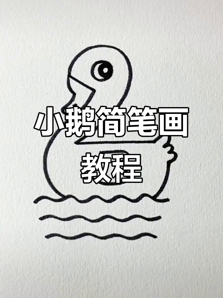 画出可爱小鹅,翅膀和尾巴都不难!