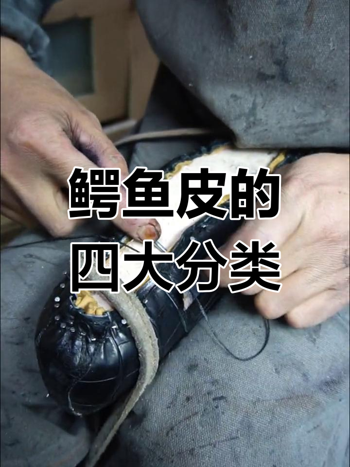 鳄鱼皮种类解析:四种常见类型对比