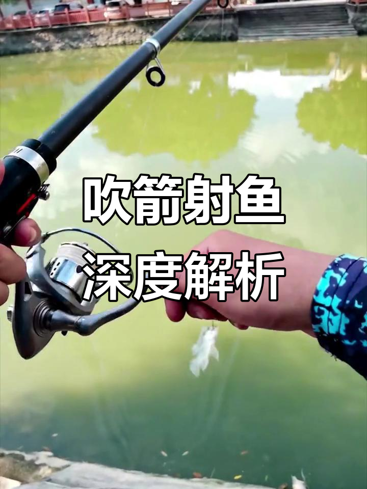 吹箭射鱼能到多深?揭秘水阻问题