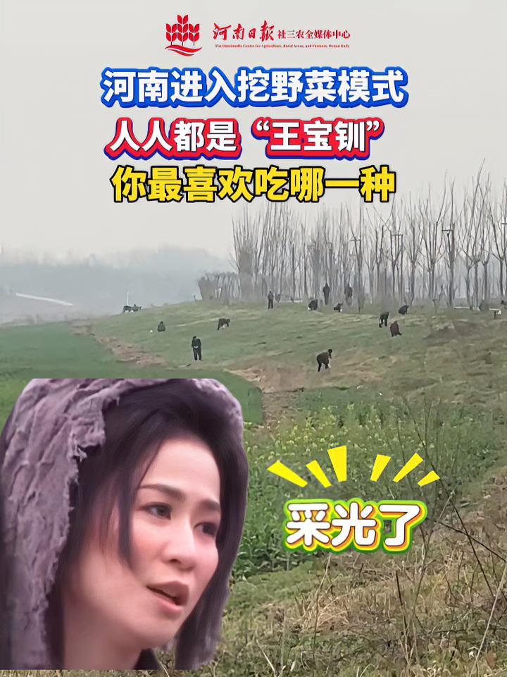 河南进入挖野菜模式,人人都是“王宝钏”。你最喜欢吃哪一种?春天 野菜 河南 春天的味道