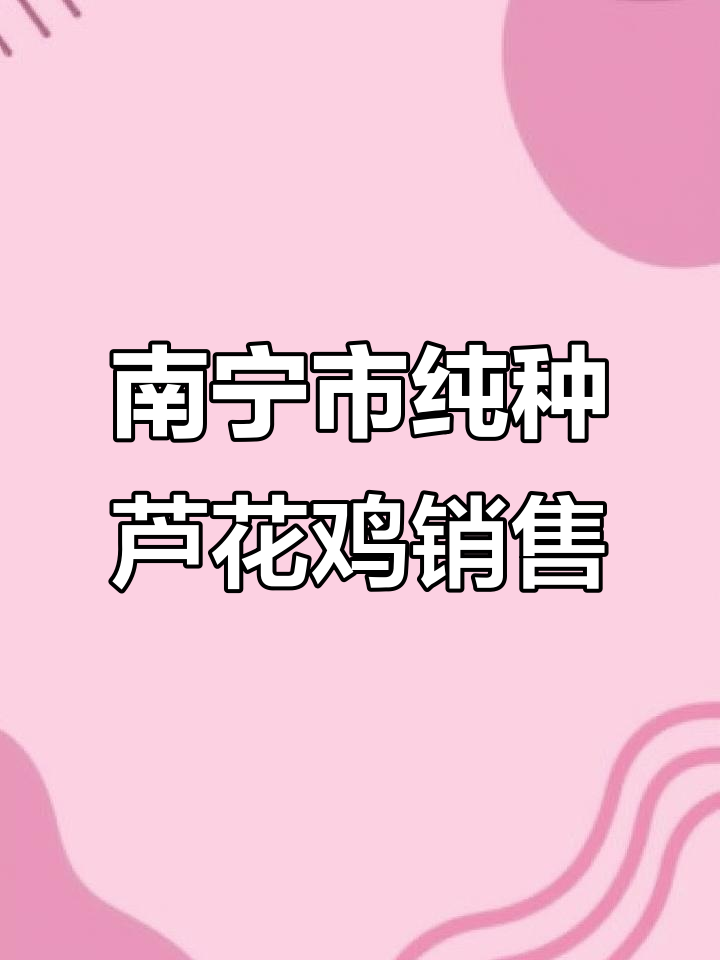 南宁市芦花鸡养殖基地推荐,饲料选择关键