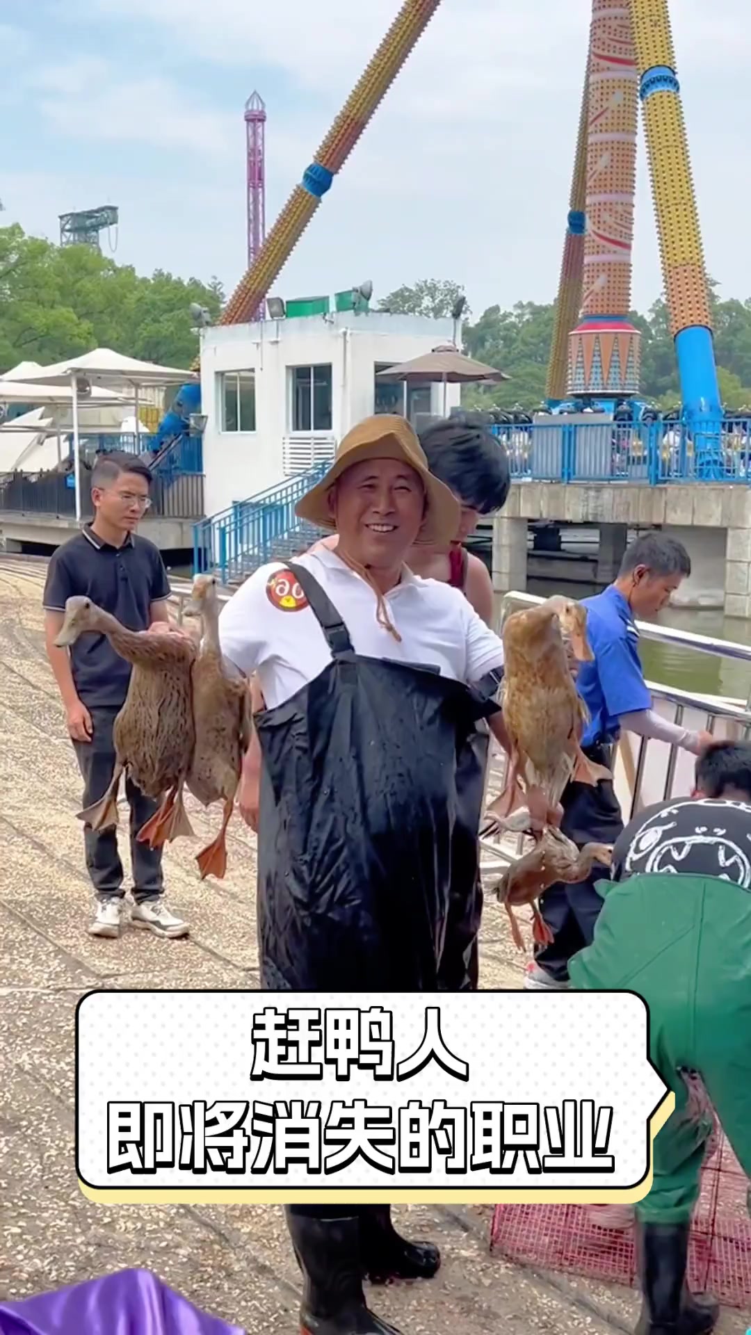 赶鸭人,即将消失的职业