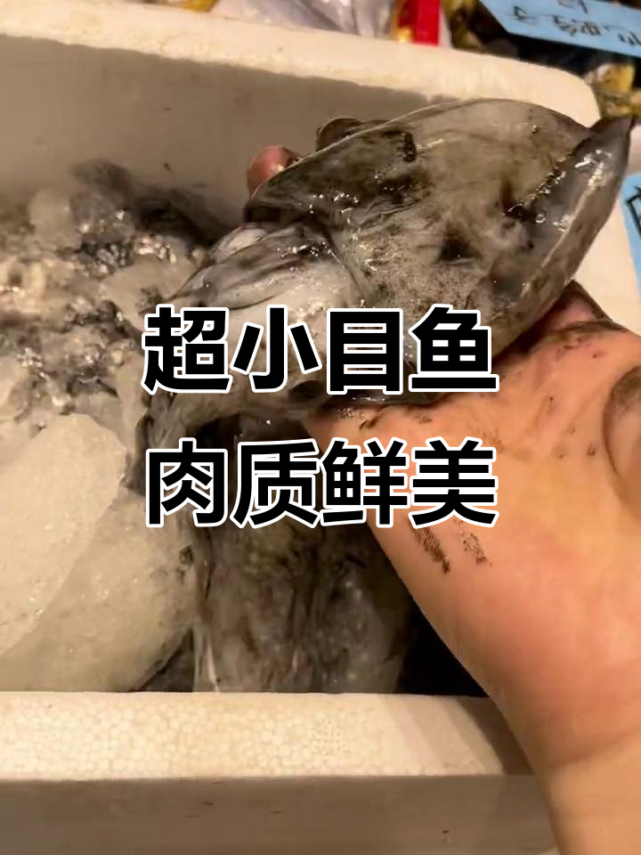 鳄鱼大小目鱼,蒸煮冰镇都超美味