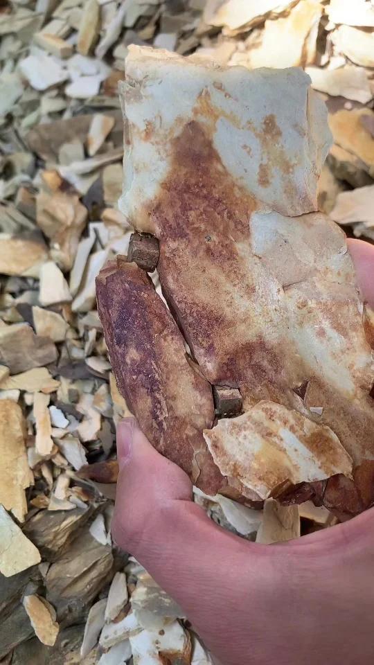 石头里的黄铁矿