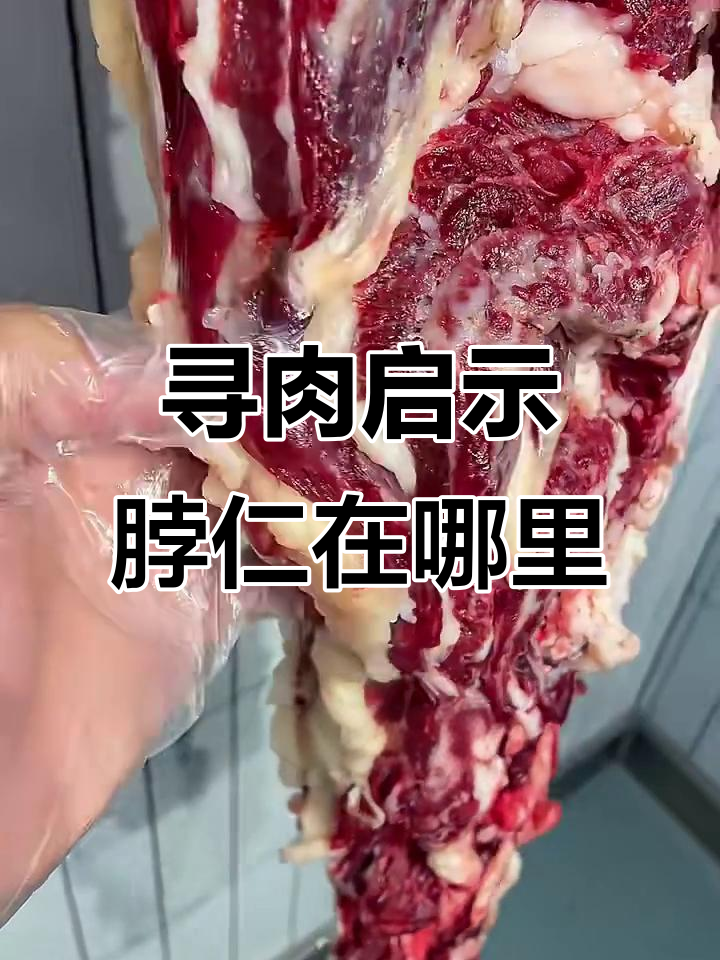 博人潮汕火锅里的脖仁到底在哪?东北牛肉店能找得到吗