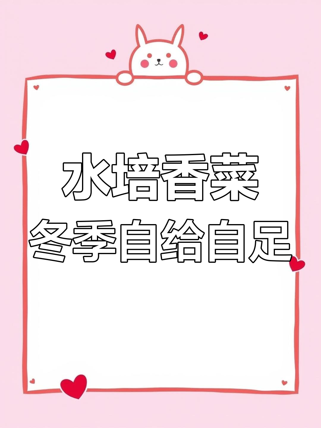 冬天香菜不用愁，水培根儿让你天天吃新鲜