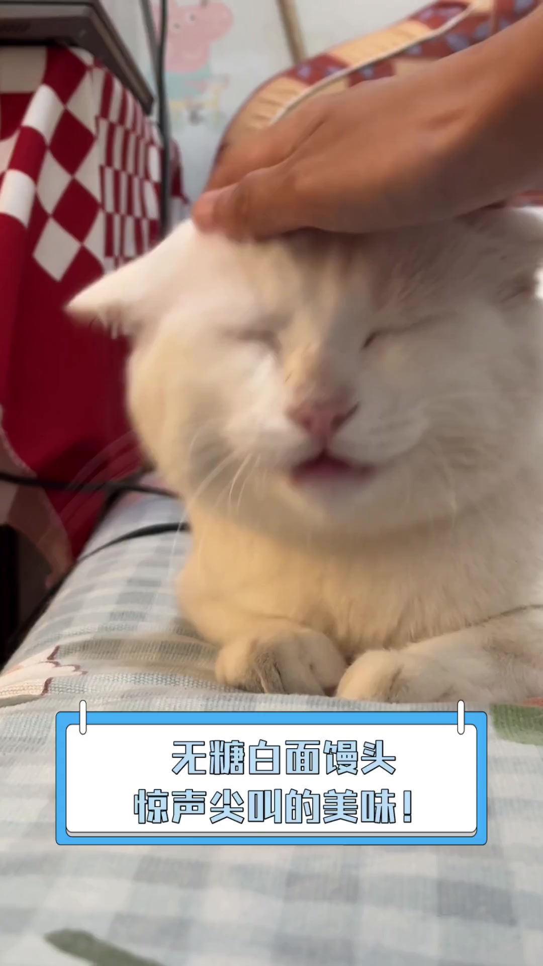 无糖白面馒头,惊声尖叫的美味!