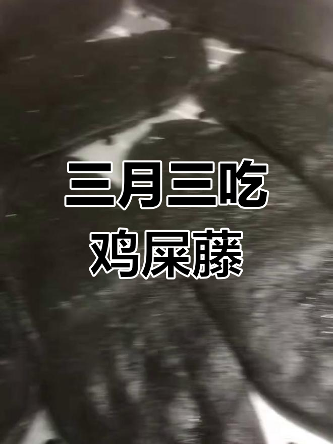 广西三月三,吃了鸡屎藤籺,对山歌乐趣多